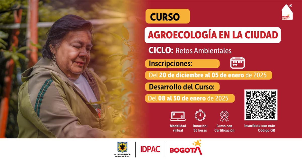 Inscríbete aquí hasta el 5 de enero a la oferta educativa virtual del IDPAC 