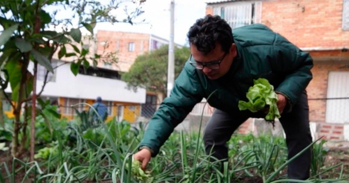 Mira la transformación de un parque en Usme que ahora es un punto ecológico 