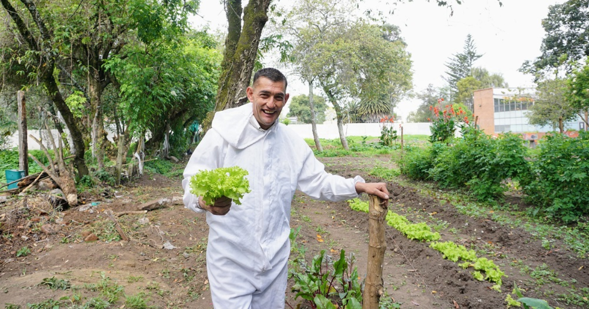 Huerta en Bogotá siembra oportunidades para exhabitantes de la calle