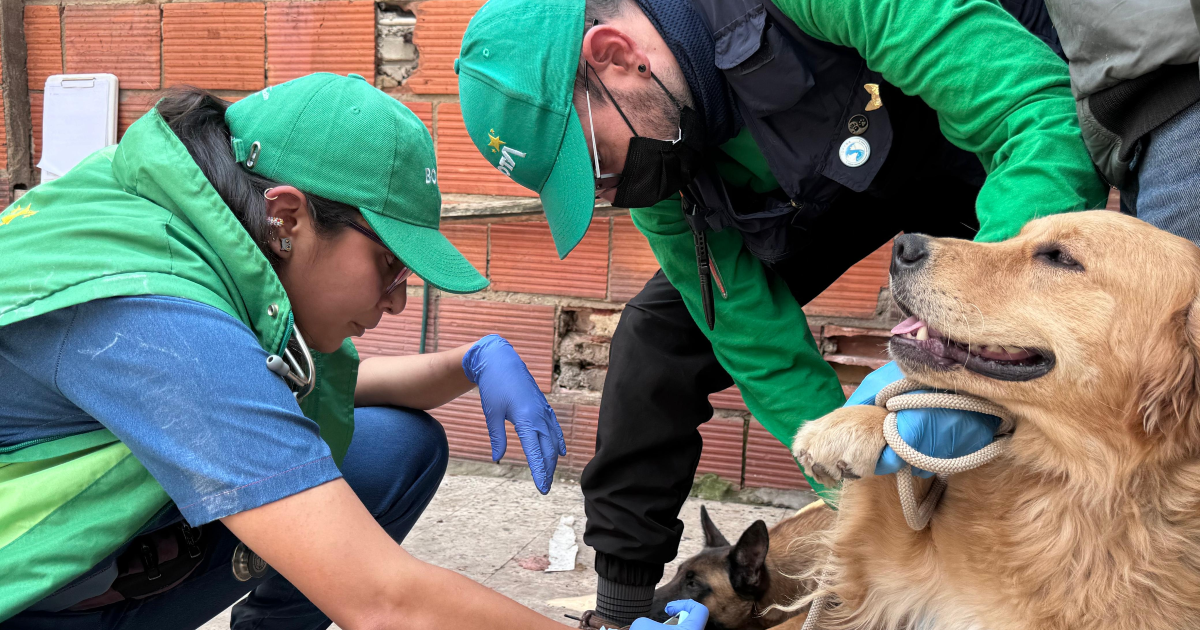 Rescate de animales que eran maltratados en Bogotá en criadero 