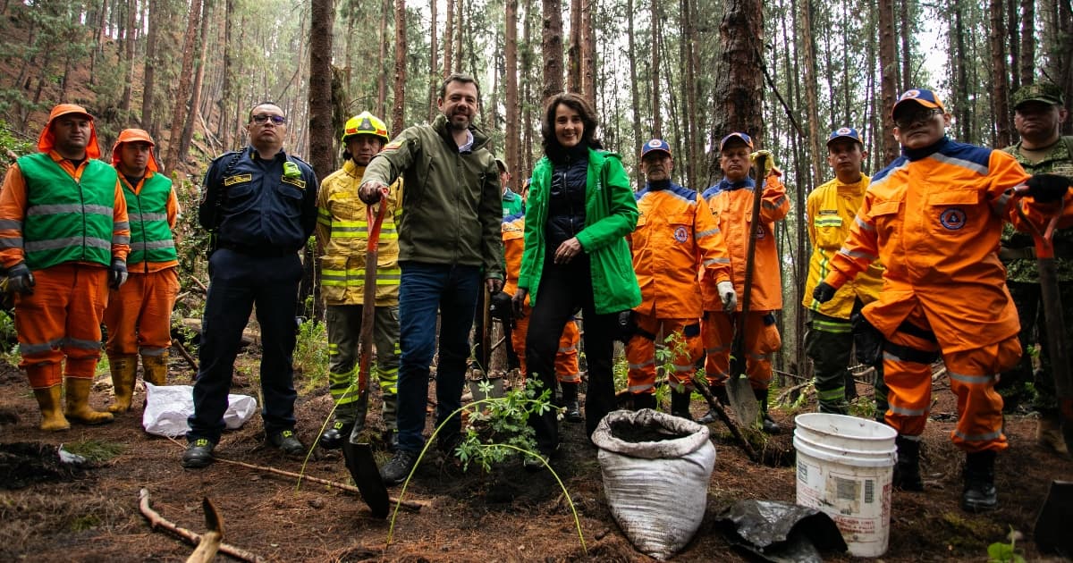 Bogotá plantó 1400 arboles Cerro El Cable afectado por incendios 2025