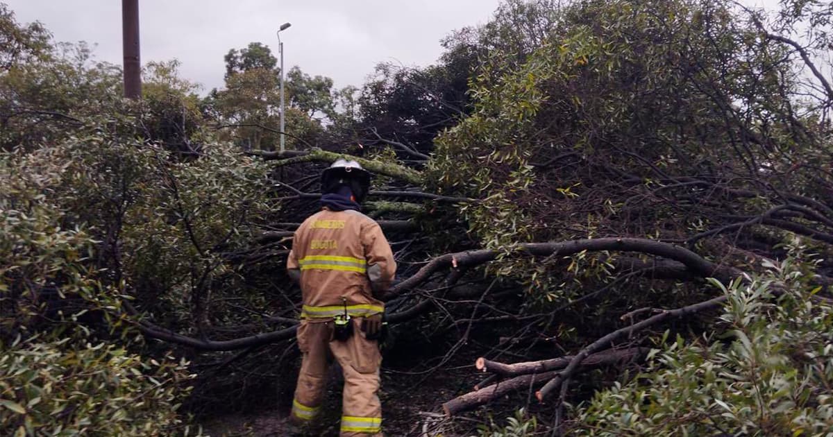 Video: Bomberos Bogotá ha atendido 493 emergencias durante temporada de lluvias