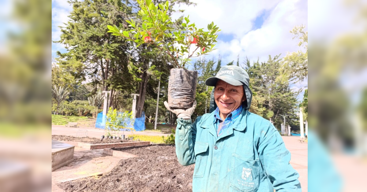 Bogotá celebra el Día Internacional de los Bosques plantando árboles