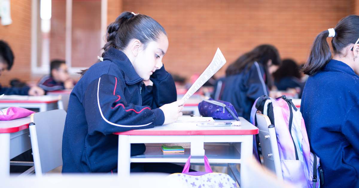 Elecciones Gobierno Escolar colegios públicos y privados Bogotá 2025