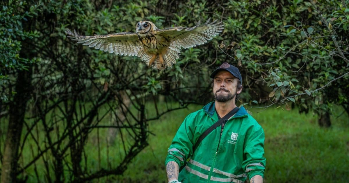 Liberación aves en Bogotá durante Día Mundial de Vida Silvestre 2025