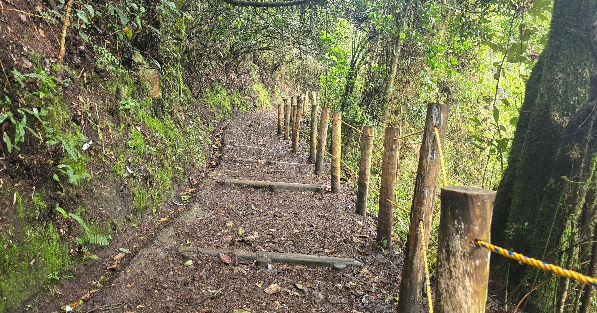 Caminatas en Bogotá agenda tu visita a caminos Cerros Orientales 2025 