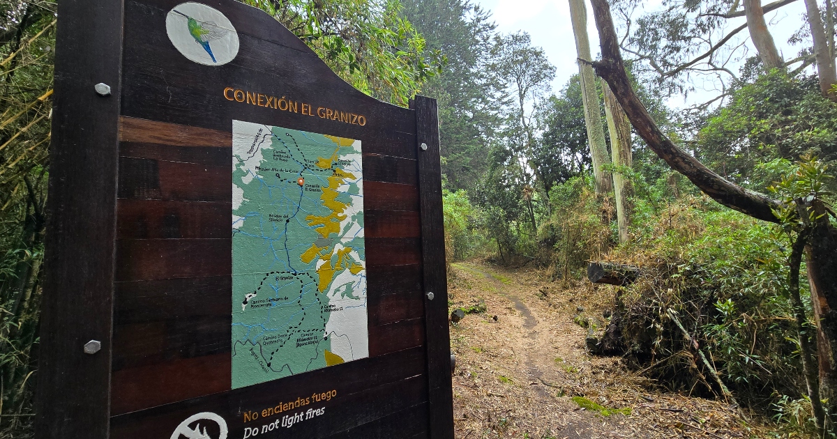 Caminatas ecológicas en Bogotá agenda cita para los Cerros Orientales