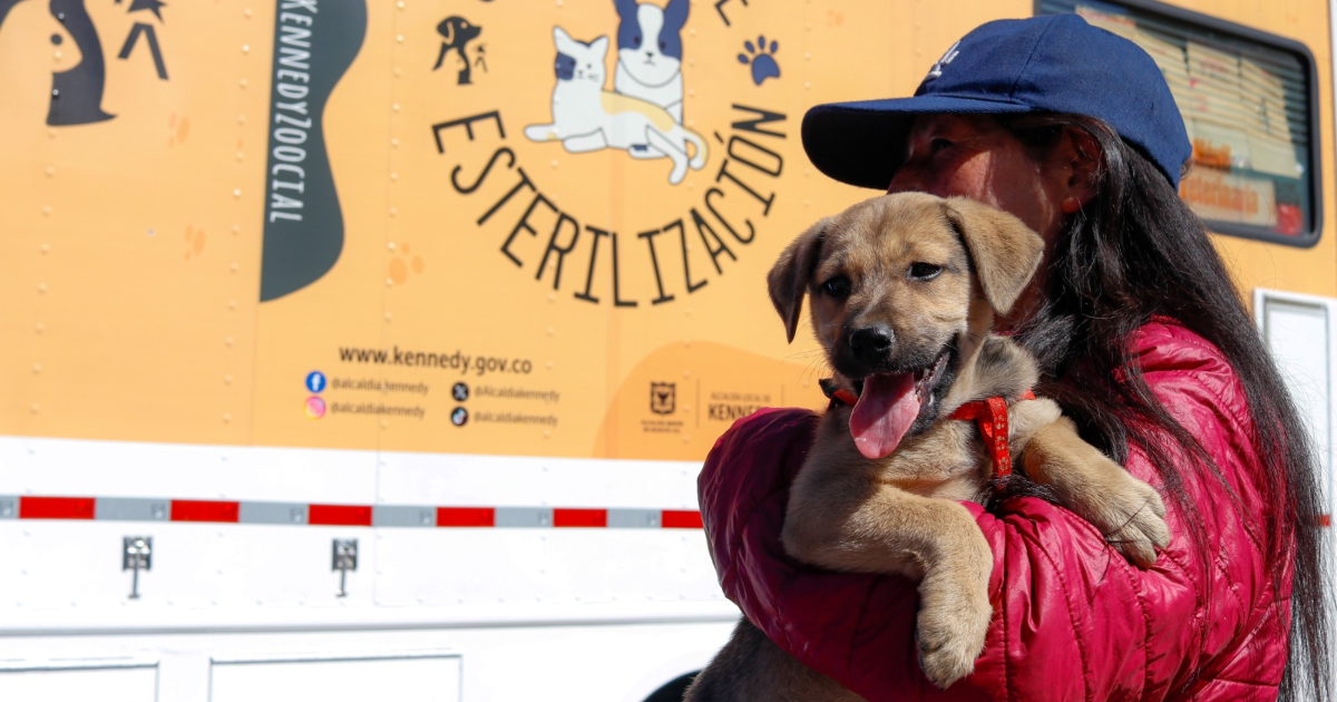 Primera Feria de emprendimientos para mascotas en Bogotá durante marzo