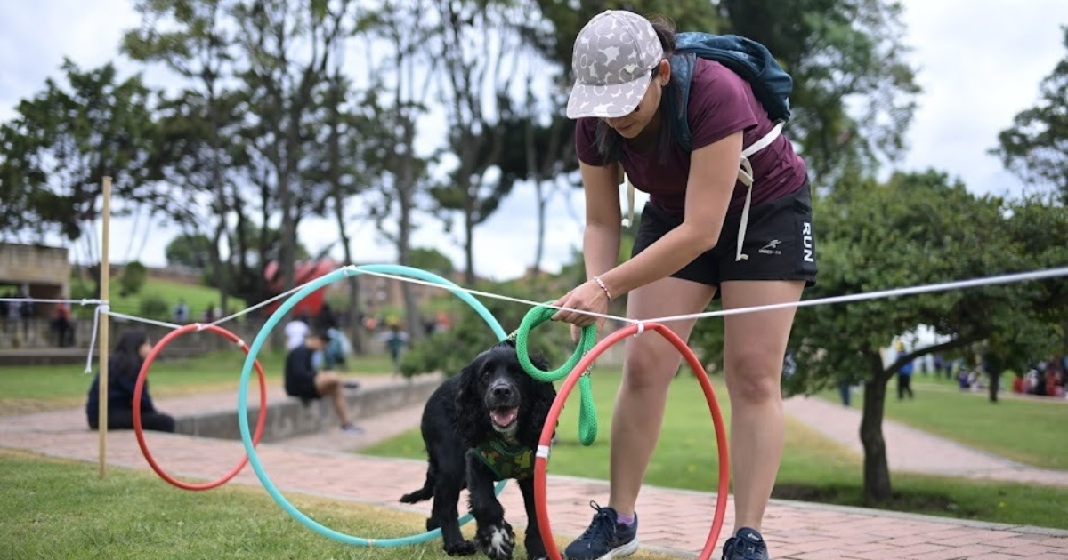 Preocupación en Bogotá por aumento de mascotas abandonados en parques 