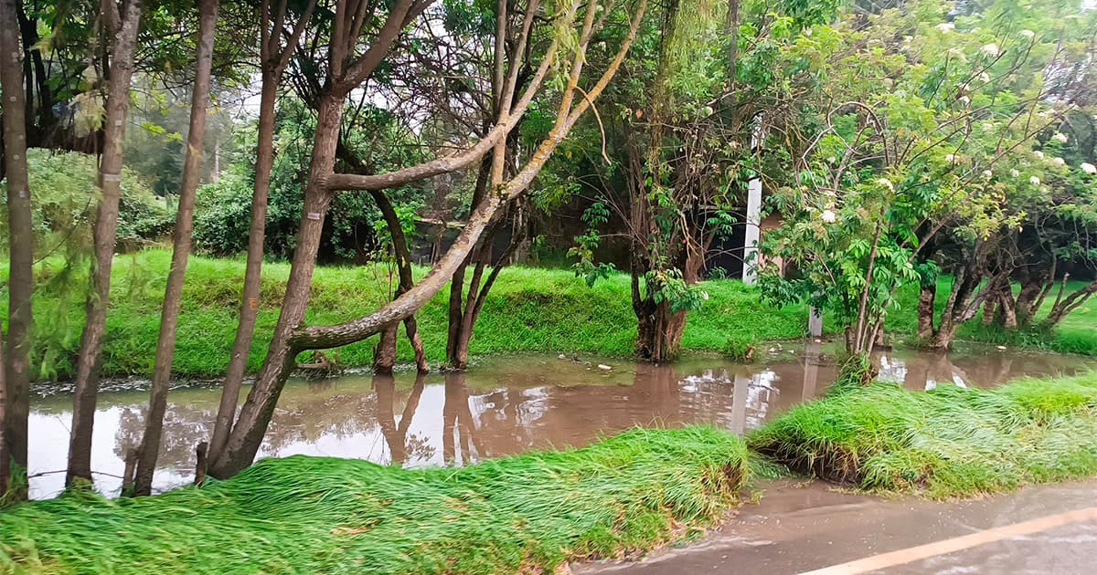 Cómo reportar emergencias en Bogotá y afectaciones de lluvias o clima