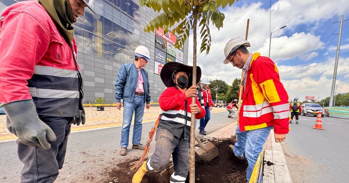 Conmemoración del Día del Árbol en Bogotá plantación en avenida 68