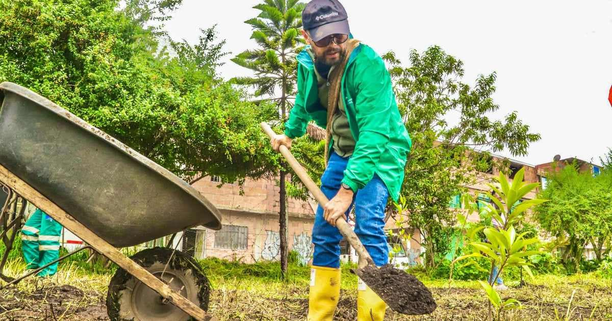 Día del Árbol en Bogotá balance árboles sembrados entre 2024 y 2025
