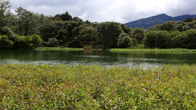 Cinco humedales para conocer en Bogotá