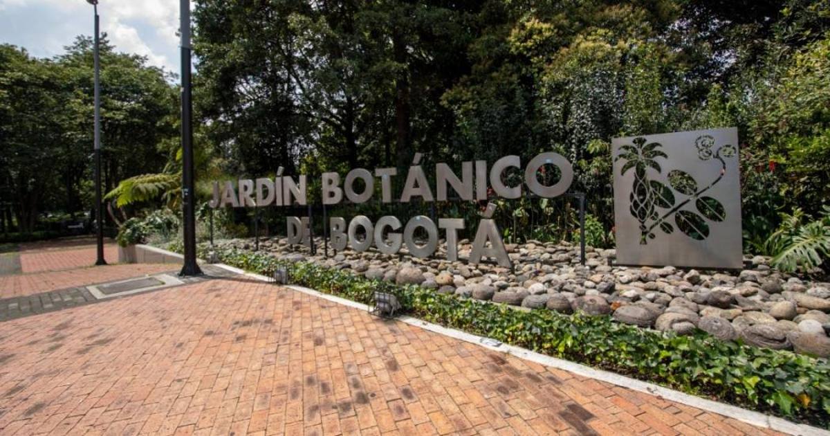 ¿Qué actividades hay en el Jardín Botánico este fin de semana?