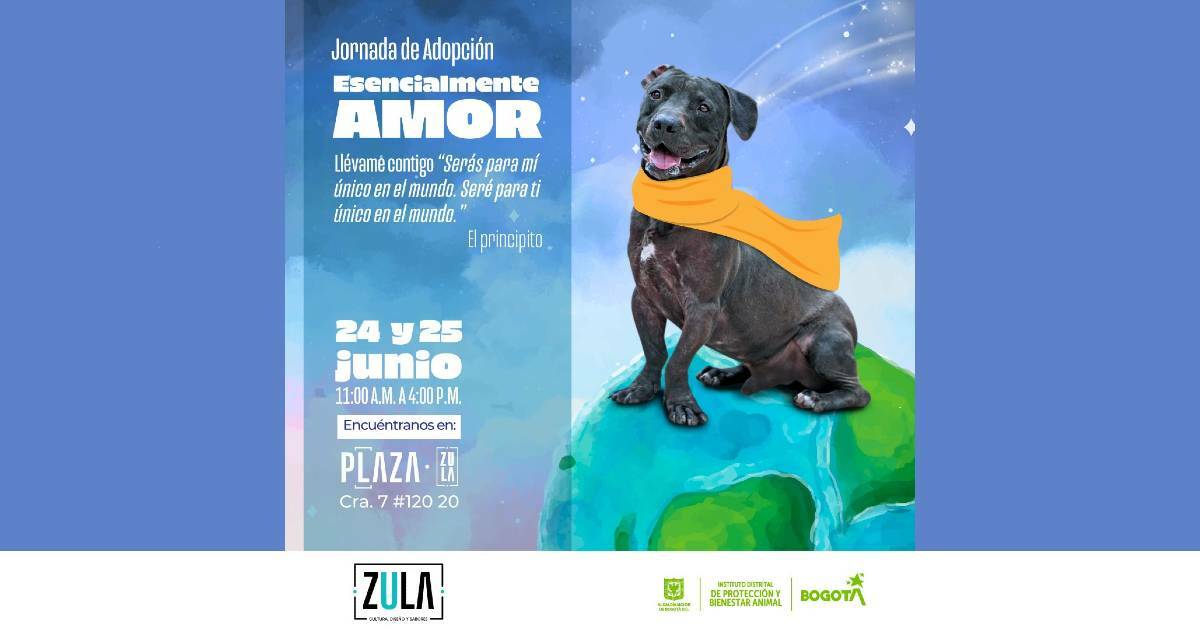 Jornada de adopción de perros y gatos este 24 y 25 de junio de 2023