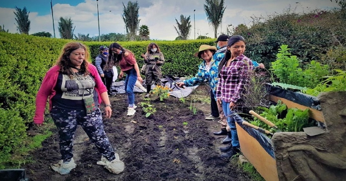 Taller: Huerta Bibliotecaria La Barco: Laboratorio agroecológico