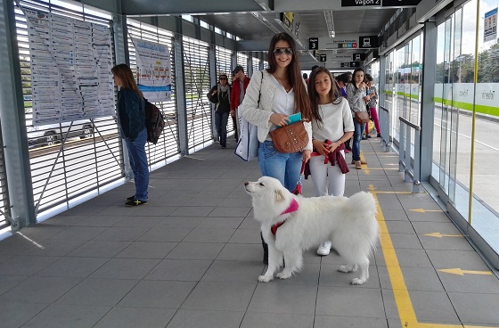 Ampliación Estación Toberín - Foto: Prensa TransMilenio