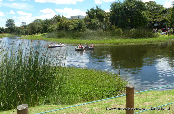 Humedales - Foto: www.humedalesbogota.com