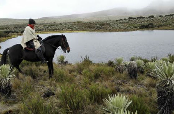 Vereda de Usme - Foto: Secretaria del Hábitat