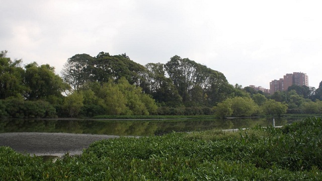 Humedales de Bogotá ingresan oficialmente a la lista RAMSAR - FOTO: Prensa Ambiente