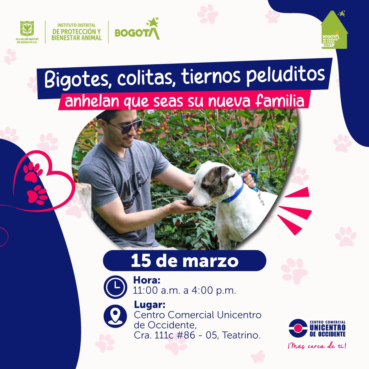 Jornada de adopción perros gatos Bogotá sábado 15 de marzo de 2025