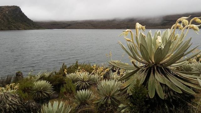 El mágico mundo de los hongos