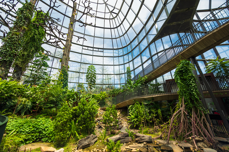 Jardín botánico de Bogotá 