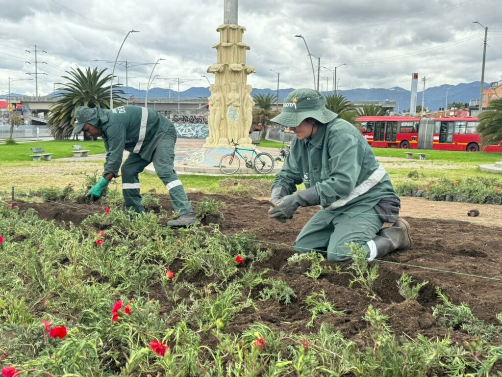 jardinera