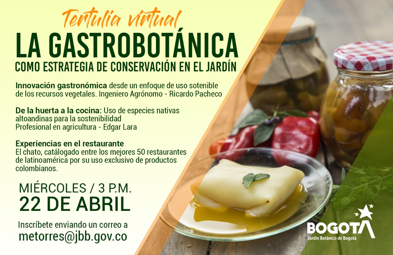 Imagen gastronomía