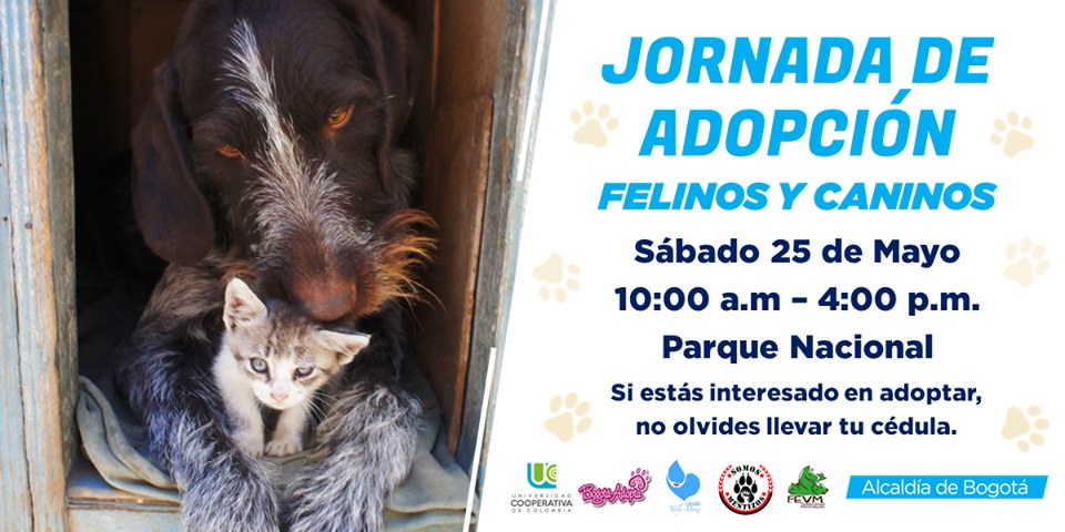 Jornada de adopción de animales