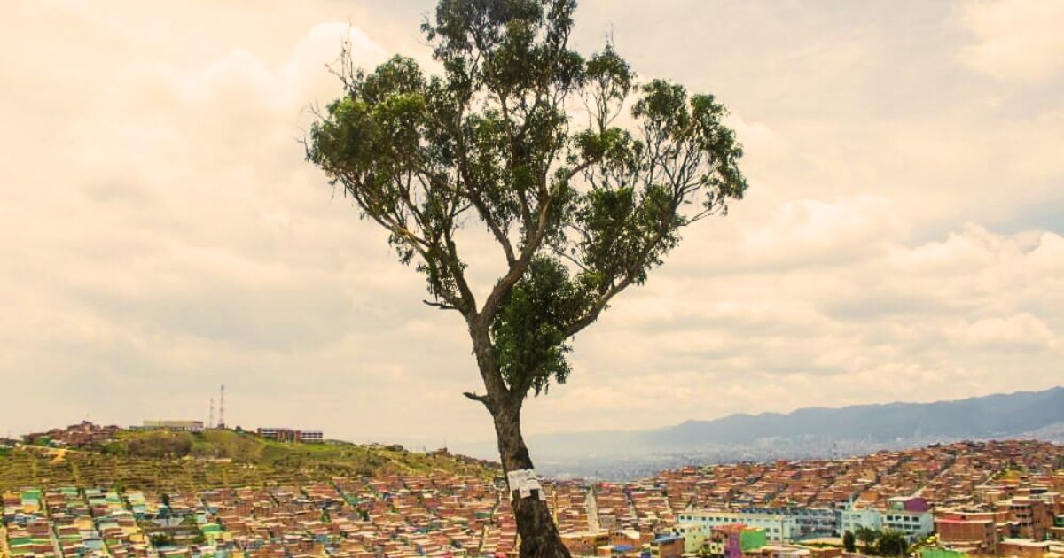 Palo del Ahorcado