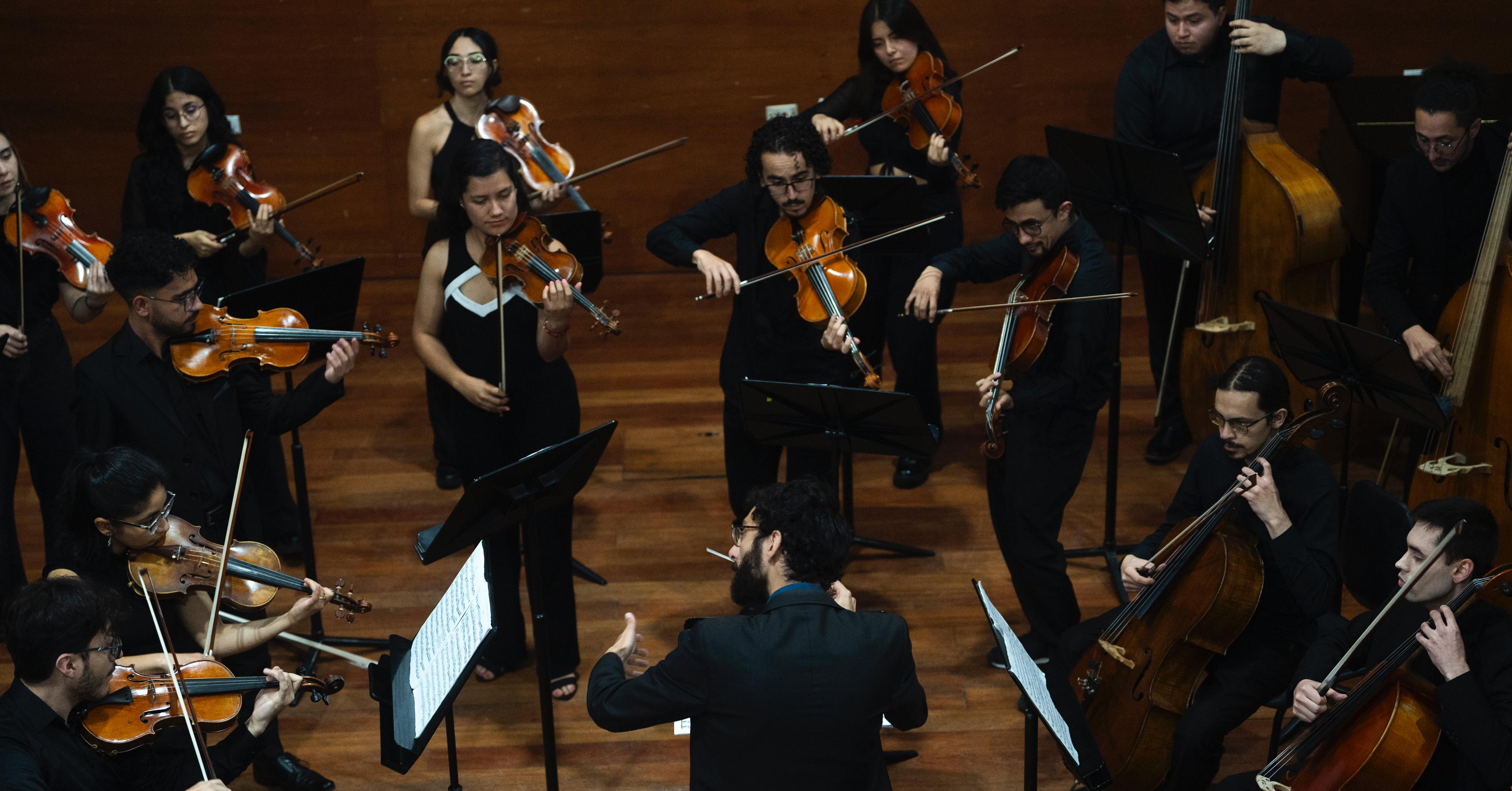 Caterine Alvarado - Asociación Nacional de Música Sinfónica