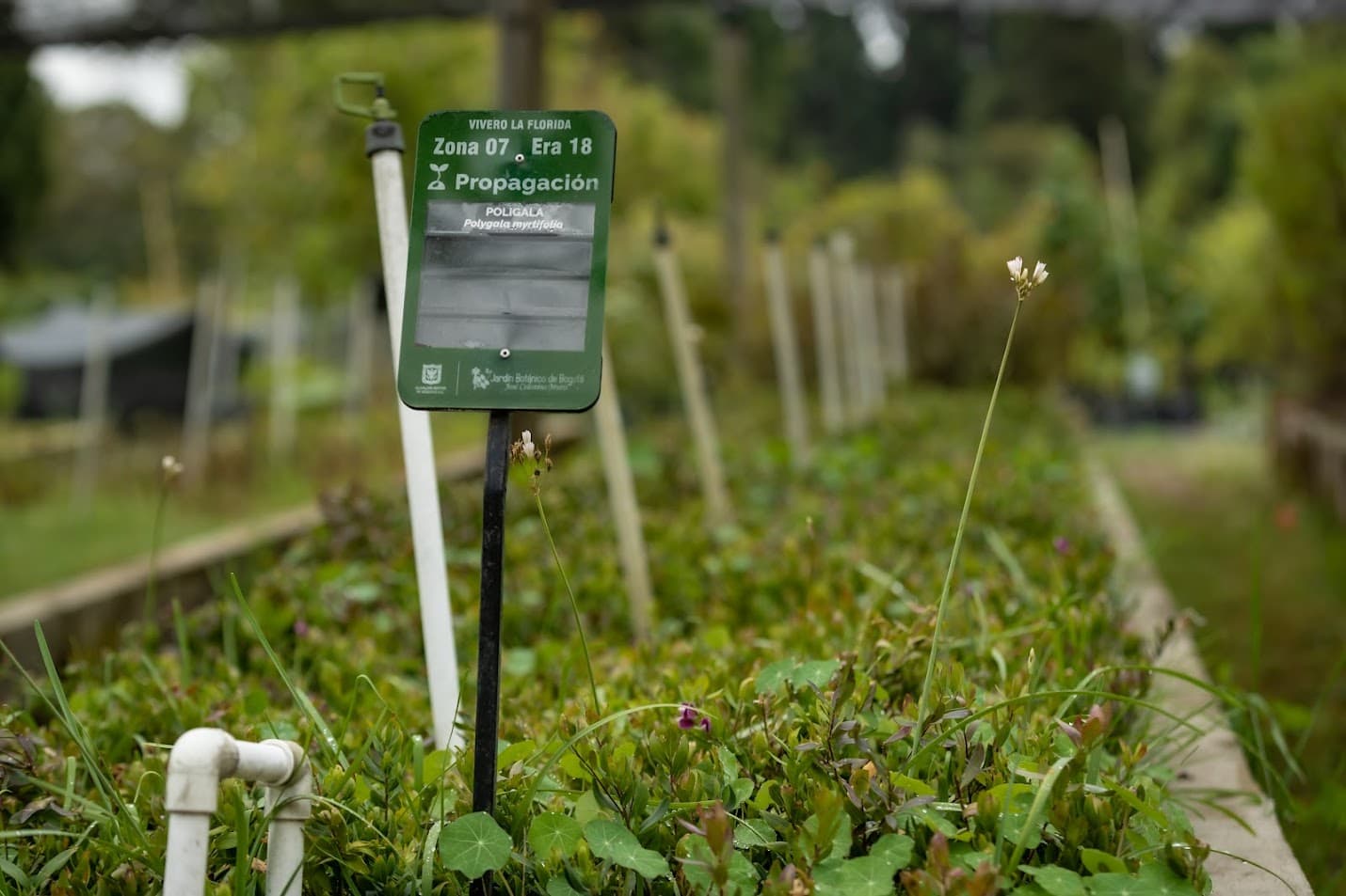 Jardín Botánico 