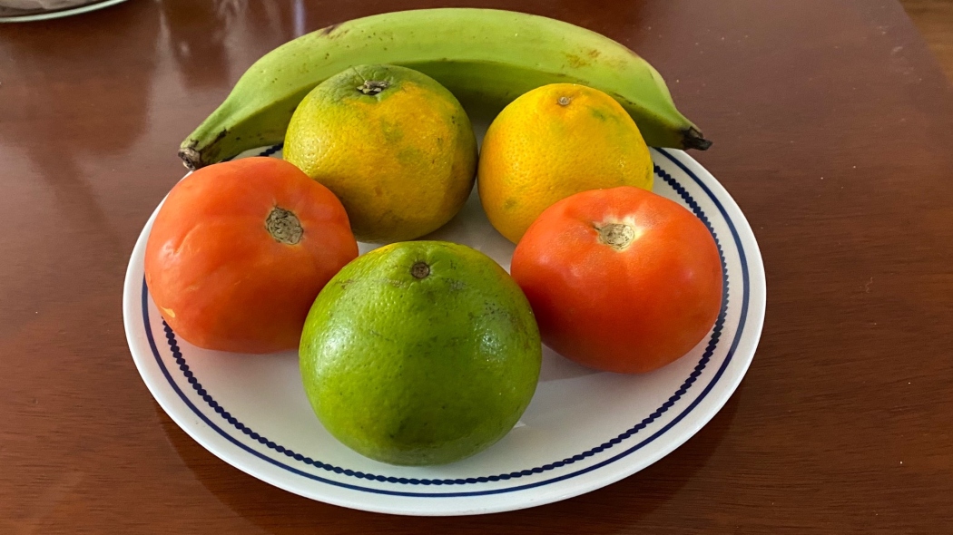 Trabajo conjunto para garantizar el abastecimiento de alimentos. Foto: Portal Bogotá