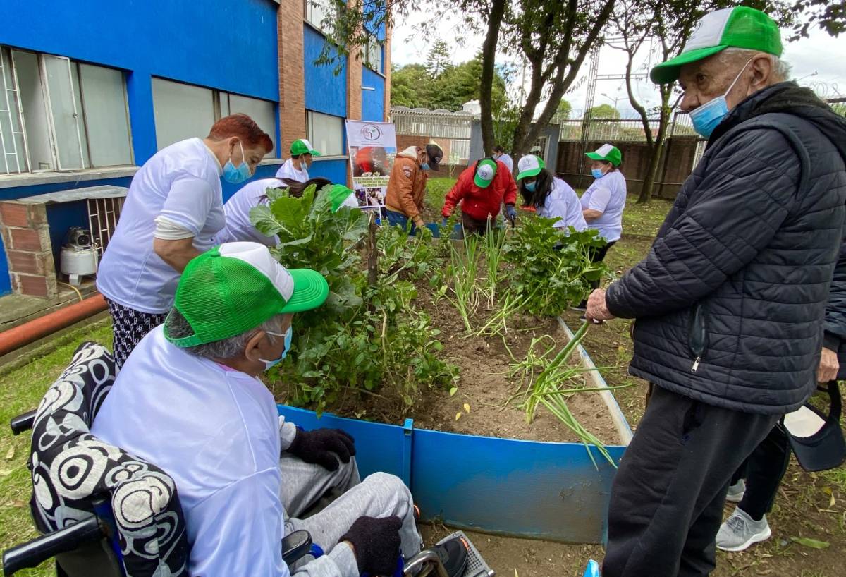 Pacientes en el huerta