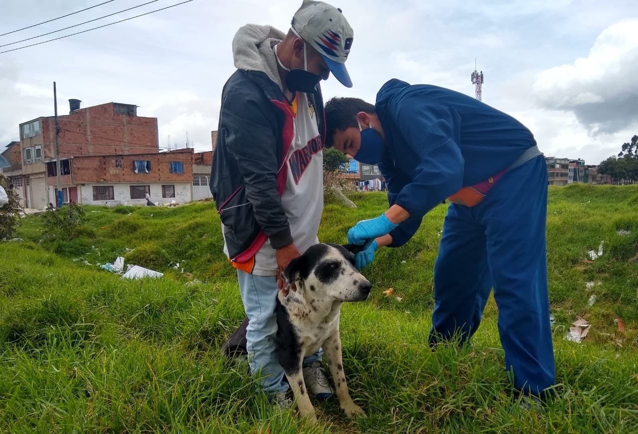 Imagen de la atención a un canino en Bosa