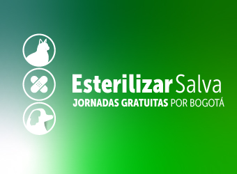 esterilizacion