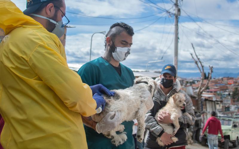 Imagen de una jornada de atención animal en Bogotá