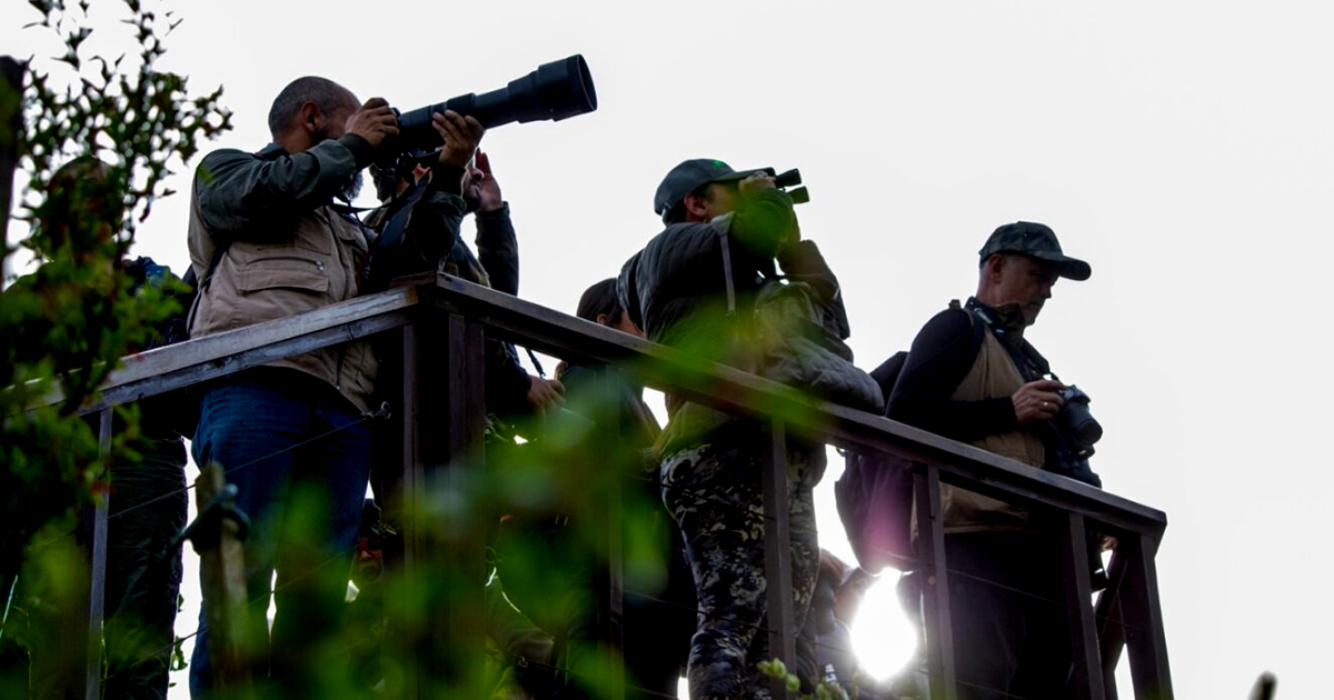 Avistamiento de aves y ver el eclipse anular de sol en el Jardín Botánico