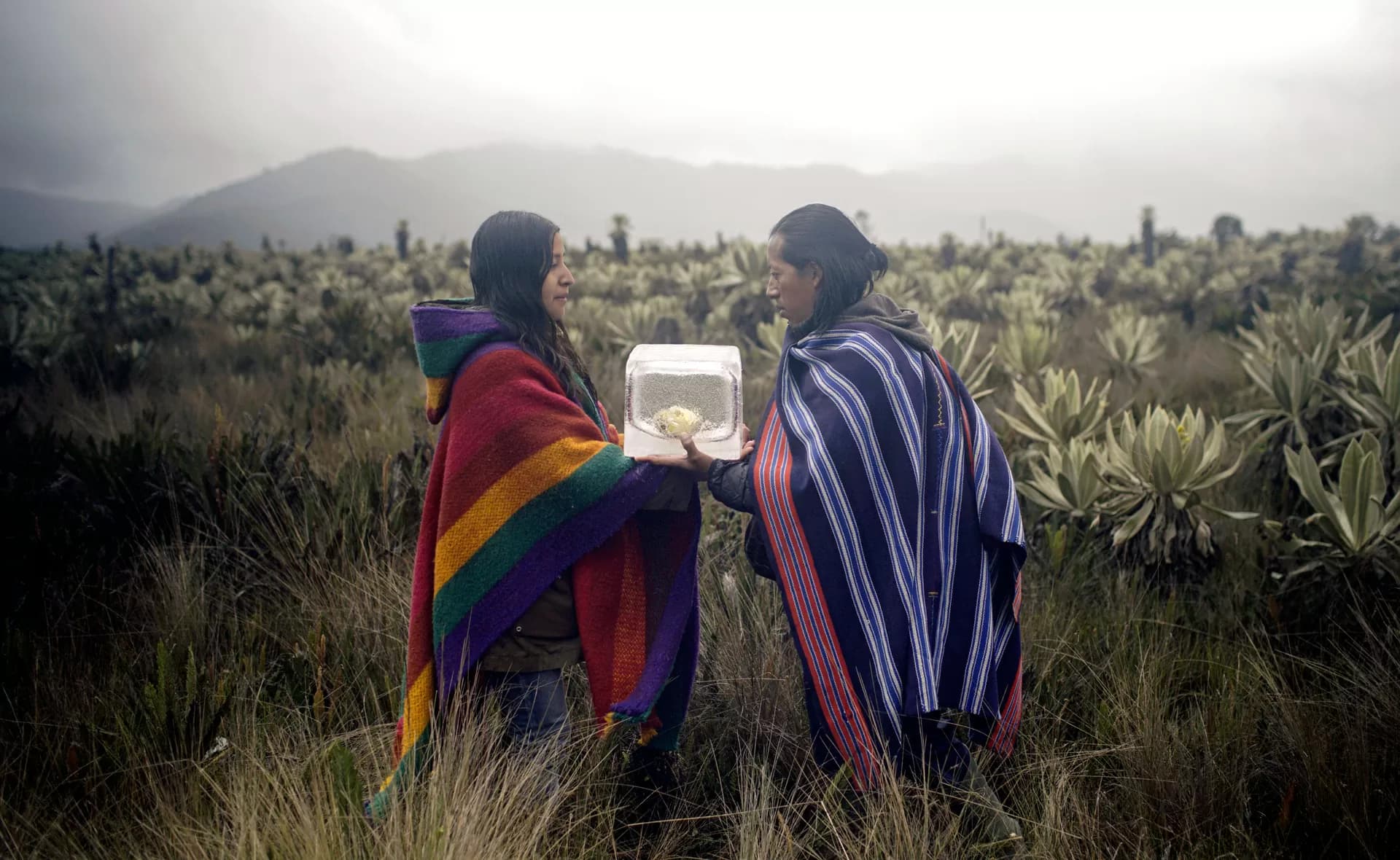 Territorios de agua / Cartografías del invisible