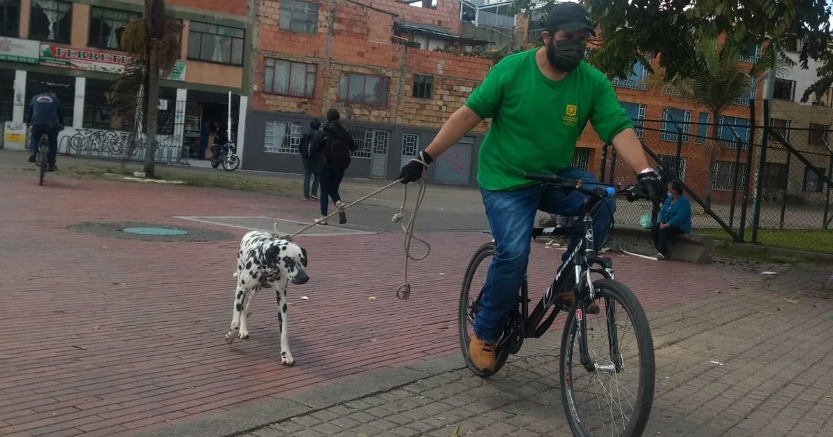 bici