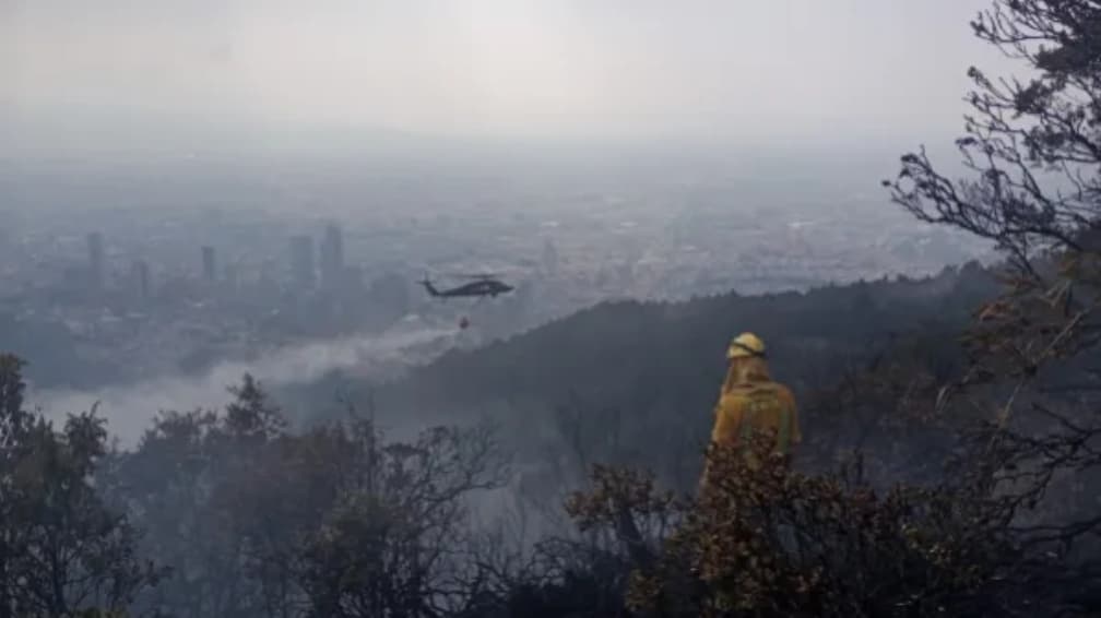 Bogotá siembra 1400 arboles Cerro El Cable afectado por incendios 2025 2