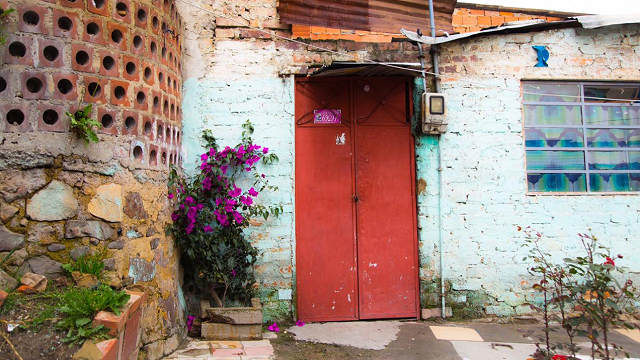 Fachada de otra casa, de color blanco, con una puerta roja y una Buganvilia al lado en etapa de crecimiento