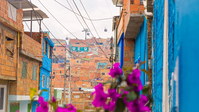 Primer plano desenfocado de las buganvilias en el fondo se observan varias casas del barrio