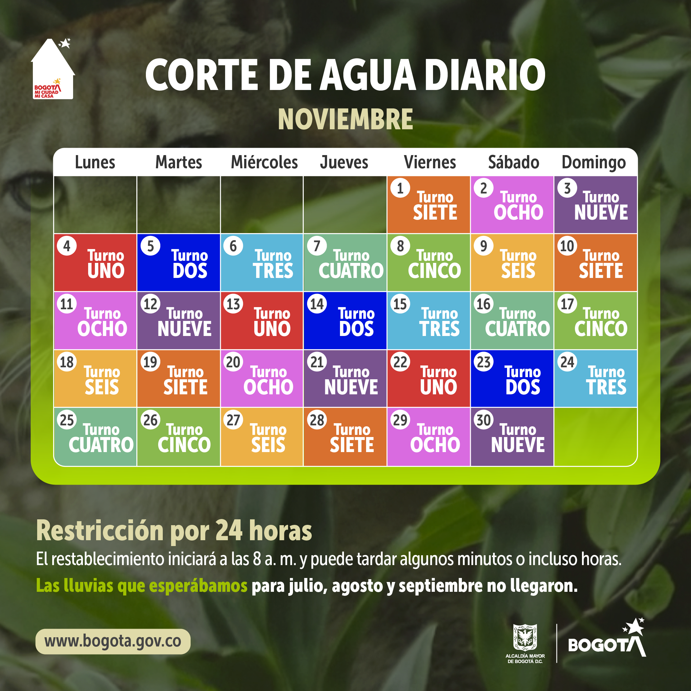 calendario noviembre 2024