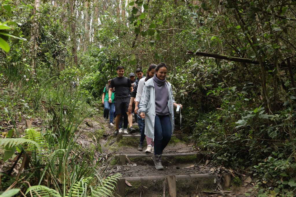 Información para consultar en el Observatorio Ambiental de Bogotá