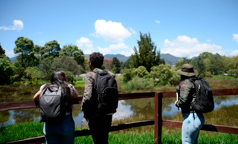 Caminata ecológica - Humedal Salitre