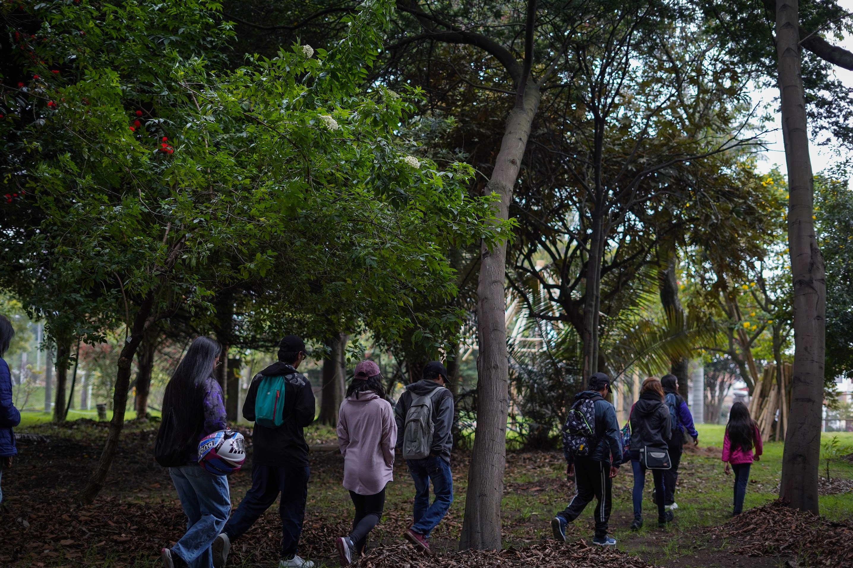 Caminata ecológica por Bogotá 