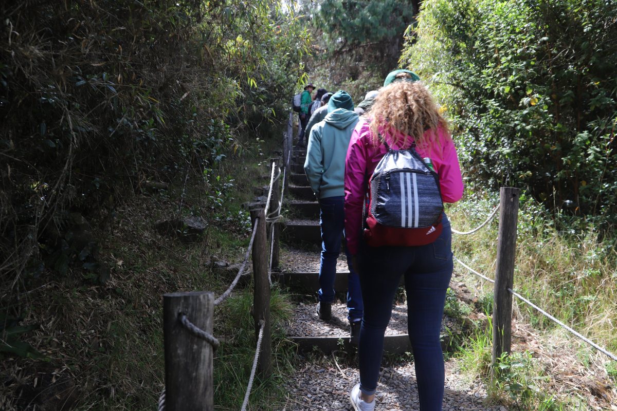 Caminatas ecológicas en Bogotá inscripciones durante marzo de 2025