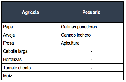 Líneas prioizadas